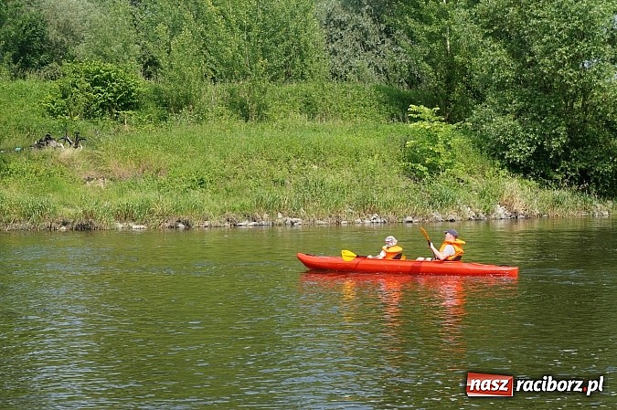 Zdjęcie w galerii na portalu naszraciborz.pl: Spływ kajakowy Bohumin- Racibórz wiadomości z regionu