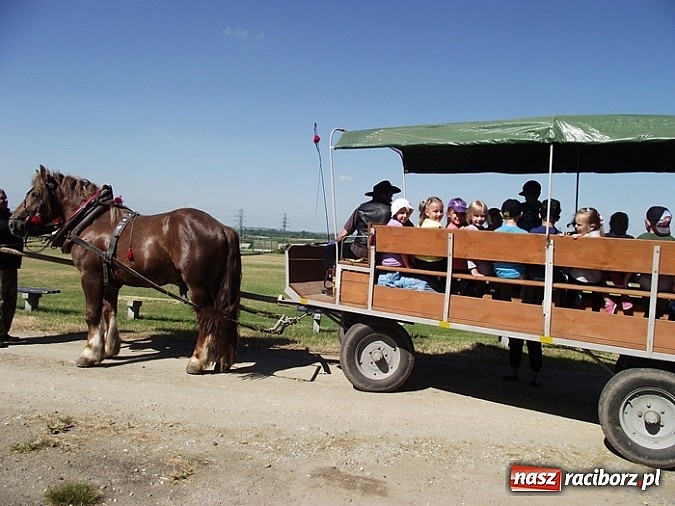 Zdjęcie w galerii na portalu naszraciborz.pl: Piknik ekologiczny dla przedszkolaków wiadomości z regionu