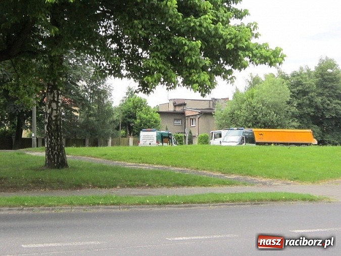 Zdjęcie w galerii na portalu naszraciborz.pl: Następny do ważenia, proszę! wiadomości z regionu