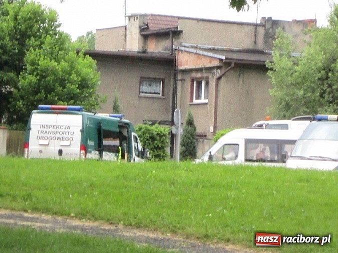 Zdjęcie w galerii na portalu naszraciborz.pl: Następny do ważenia, proszę! wiadomości z regionu