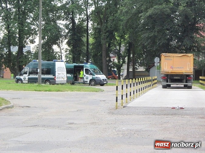 Zdjęcie w galerii na portalu naszraciborz.pl: Następny do ważenia, proszę! wiadomości z regionu