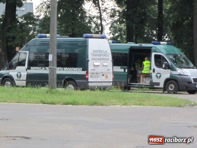 Zdjęcie w galerii na portalu naszraciborz.pl: Następny do ważenia, proszę! wiadomości z regionu
