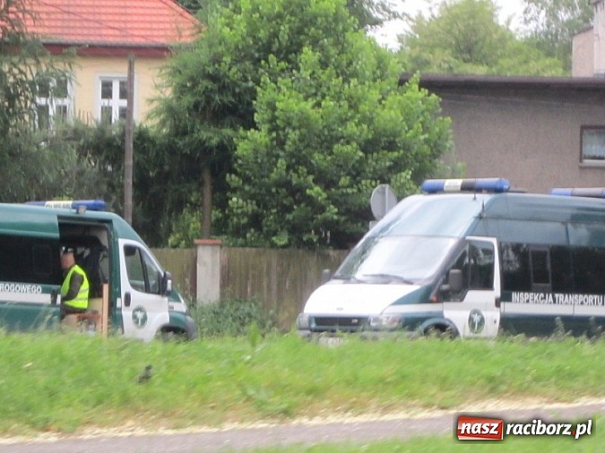 Zdjęcie w galerii na portalu naszraciborz.pl: Następny do ważenia, proszę! wiadomości z regionu