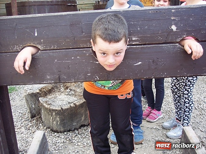 Zdjęcie w galerii na portalu naszraciborz.pl: Uczniowie z Ostroga pobierają lekcje w grodzie w Byczynie. Pożegnanie szkolnej ławki z zabawą  wiadomości z regionu