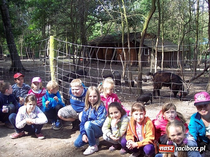 Zdjęcie w galerii na portalu naszraciborz.pl: Uczniowie z Ostroga pobierają lekcje w grodzie w Byczynie. Pożegnanie szkolnej ławki z zabawą  wiadomości z regionu