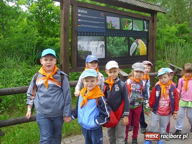 Zdjęcie w galerii na portalu naszraciborz.pl: Spotkanie przedszkolaków z Markowic z dinozaurami w Krasiejowie wiadomości z regionu