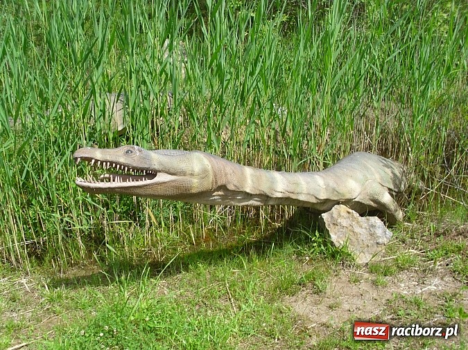 Zdjęcie w galerii na portalu naszraciborz.pl: Spotkanie przedszkolaków z Markowic z dinozaurami w Krasiejowie wiadomości z regionu