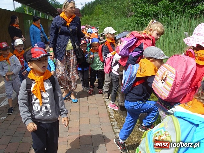 Zdjęcie w galerii na portalu naszraciborz.pl: Spotkanie przedszkolaków z Markowic z dinozaurami w Krasiejowie wiadomości z regionu