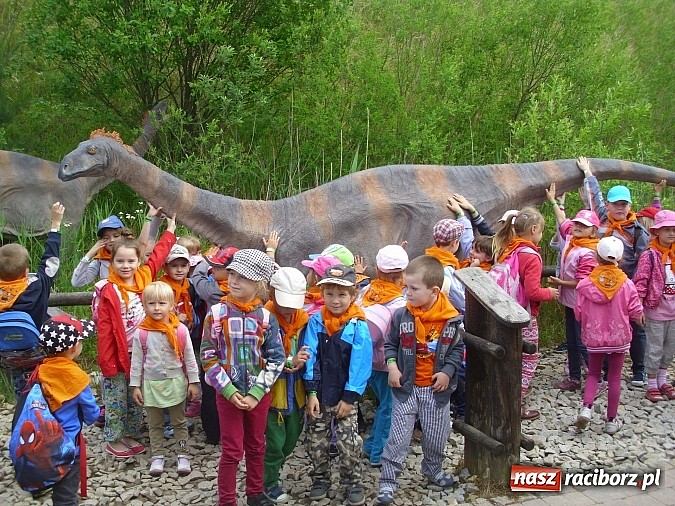 Zdjęcie w galerii na portalu naszraciborz.pl: Spotkanie przedszkolaków z Markowic z dinozaurami w Krasiejowie wiadomości z regionu