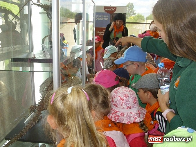 Zdjęcie w galerii na portalu naszraciborz.pl: Spotkanie przedszkolaków z Markowic z dinozaurami w Krasiejowie wiadomości z regionu