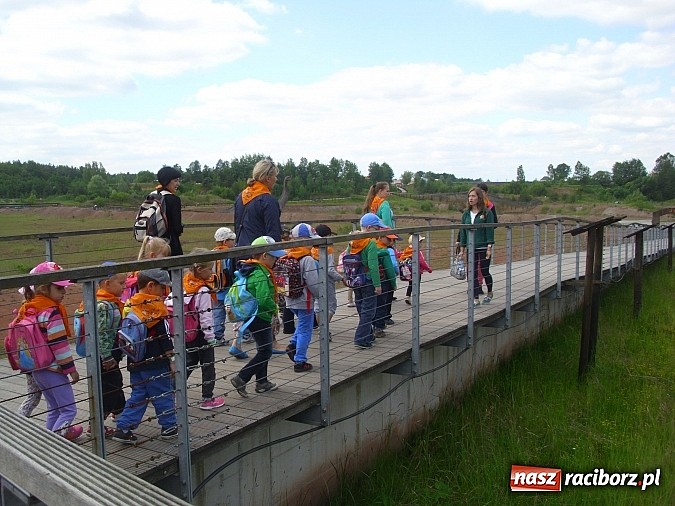 Zdjęcie w galerii na portalu naszraciborz.pl: Spotkanie przedszkolaków z Markowic z dinozaurami w Krasiejowie wiadomości z regionu