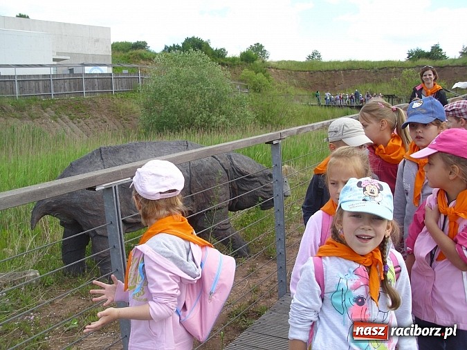 Zdjęcie w galerii na portalu naszraciborz.pl: Spotkanie przedszkolaków z Markowic z dinozaurami w Krasiejowie wiadomości z regionu