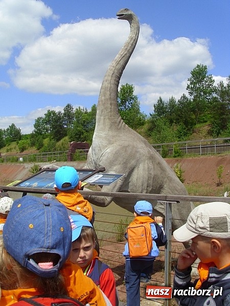 Zdjęcie w galerii na portalu naszraciborz.pl: Spotkanie przedszkolaków z Markowic z dinozaurami w Krasiejowie wiadomości z regionu