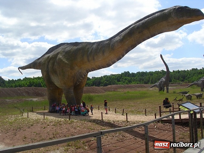Zdjęcie w galerii na portalu naszraciborz.pl: Spotkanie przedszkolaków z Markowic z dinozaurami w Krasiejowie wiadomości z regionu
