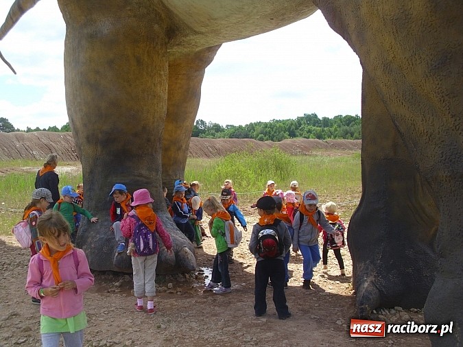 Zdjęcie w galerii na portalu naszraciborz.pl: Spotkanie przedszkolaków z Markowic z dinozaurami w Krasiejowie wiadomości z regionu