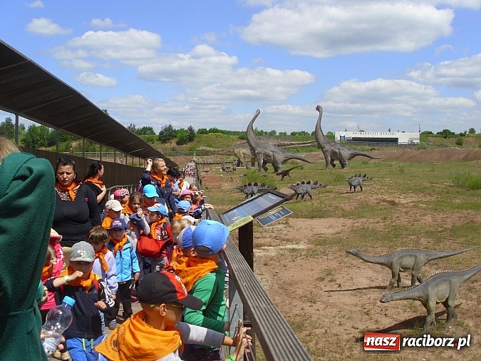 Zdjęcie w galerii na portalu naszraciborz.pl: Spotkanie przedszkolaków z Markowic z dinozaurami w Krasiejowie wiadomości z regionu