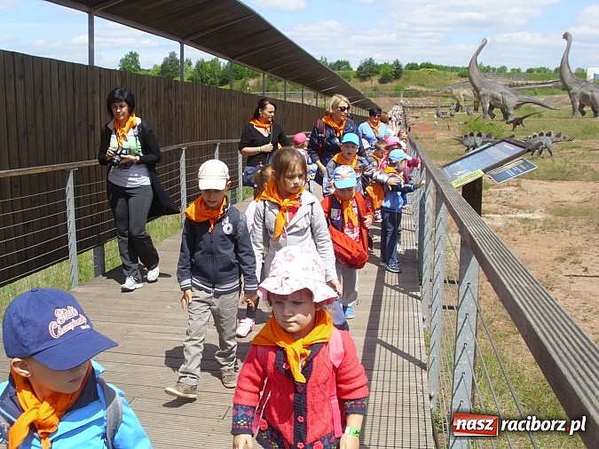 Zdjęcie w galerii na portalu naszraciborz.pl: Spotkanie przedszkolaków z Markowic z dinozaurami w Krasiejowie wiadomości z regionu