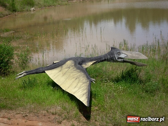 Zdjęcie w galerii na portalu naszraciborz.pl: Spotkanie przedszkolaków z Markowic z dinozaurami w Krasiejowie wiadomości z regionu