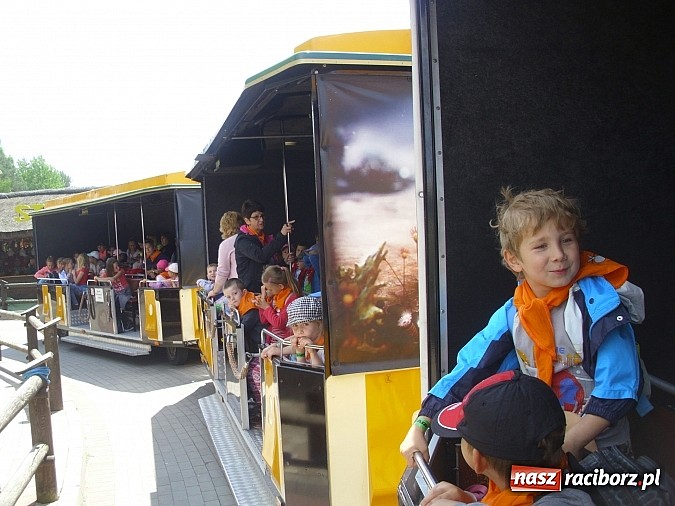 Zdjęcie w galerii na portalu naszraciborz.pl: Spotkanie przedszkolaków z Markowic z dinozaurami w Krasiejowie wiadomości z regionu