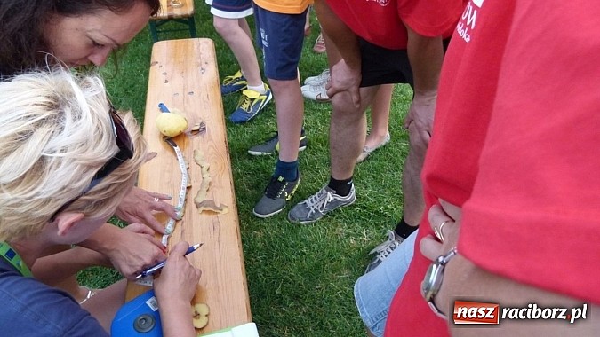 Zdjęcie w galerii na portalu naszraciborz.pl: Rozgrywki sołectw gminy Kornowac o puchar wójta już po raz trzeci  wiadomości z regionu