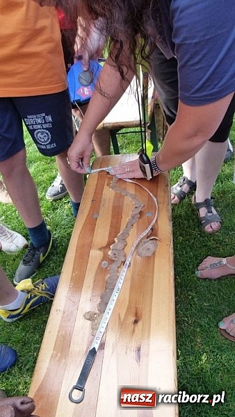 Zdjęcie w galerii na portalu naszraciborz.pl: Rozgrywki sołectw gminy Kornowac o puchar wójta już po raz trzeci  wiadomości z regionu