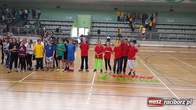 Zdjęcie w galerii na portalu naszraciborz.pl: Raciborska Gimnazjada 2015 - zobacz zdjęcia  wiadomości z regionu