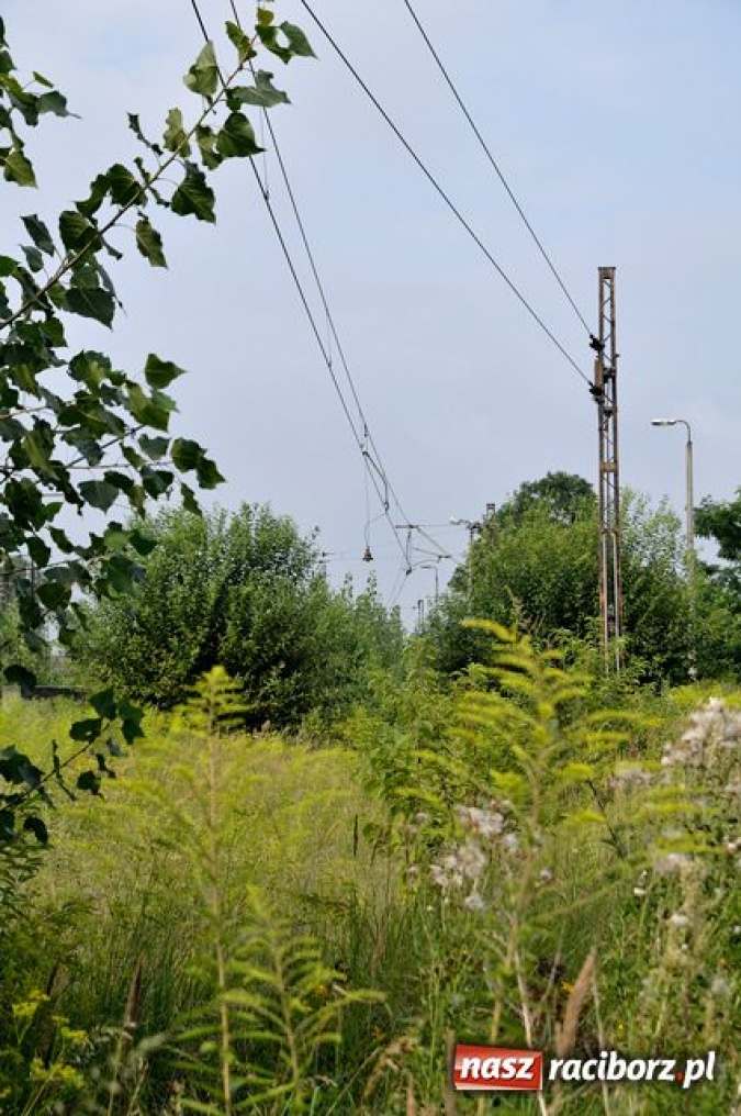 Zdjęcie w galerii na portalu naszraciborz.pl: Lokomotywownia Racibórz wiadomości z regionu