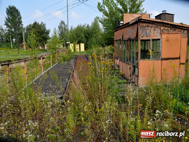 Zdjęcie w galerii na portalu naszraciborz.pl: Lokomotywownia Racibórz wiadomości z regionu