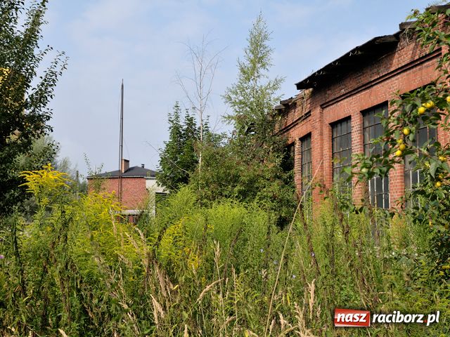 Zdjęcie w galerii na portalu naszraciborz.pl: Lokomotywownia Racibórz wiadomości z regionu