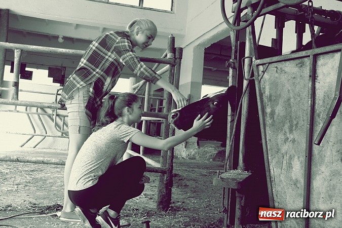 Zdjęcie w galerii na portalu naszraciborz.pl: Twój zawód brzmi znajomo - kolejne zawody tworkowskiej młodzieży  wiadomości z regionu