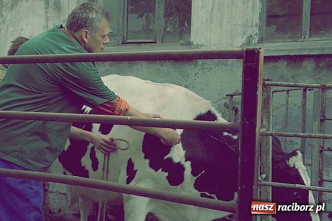 Zdjęcie w galerii na portalu naszraciborz.pl: Twój zawód brzmi znajomo - kolejne zawody tworkowskiej młodzieży  wiadomości z regionu