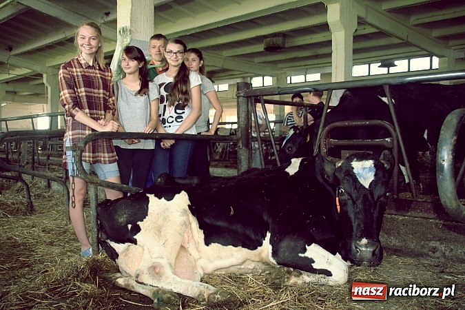 Zdjęcie w galerii na portalu naszraciborz.pl: Twój zawód brzmi znajomo - kolejne zawody tworkowskiej młodzieży  wiadomości z regionu