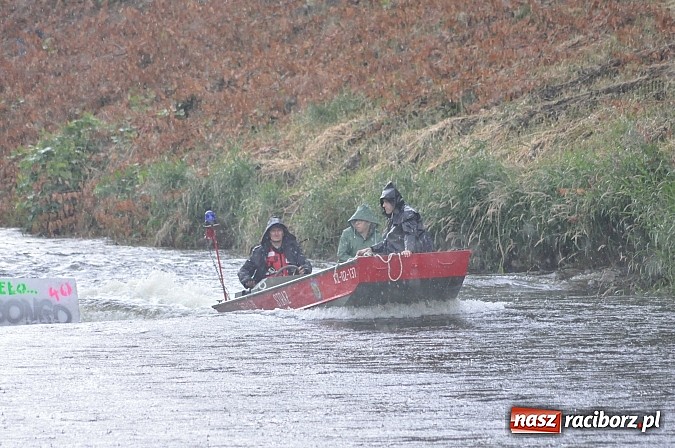 Zdjęcie w galerii na portalu naszraciborz.pl: Kanonada śląskich bractw, potem ulewa i wreszcie ruszyli  wiadomości z regionu