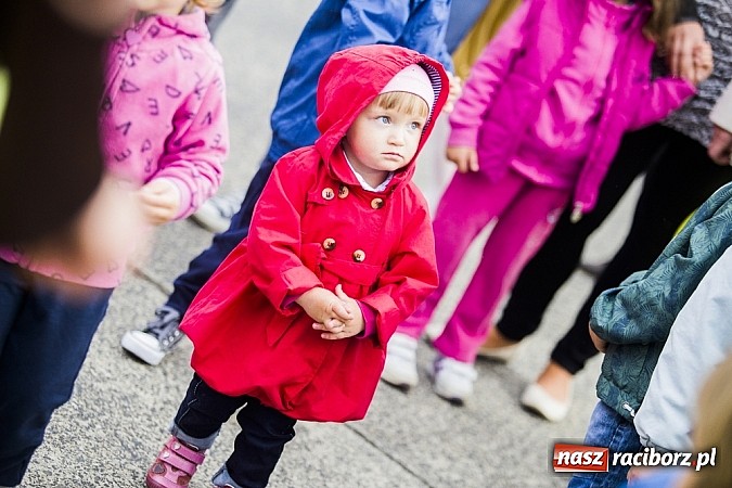 Zdjęcie w galerii na portalu naszraciborz.pl: Dynamiczna Skaza na Dniach Raciborza wiadomości z regionu