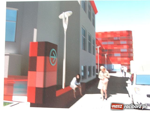 Zdjęcie w galerii na portalu naszraciborz.pl: MUCHOMOR w sercu Raciborza wiadomości z regionu