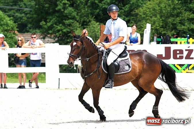 Zdjęcie w galerii na portalu naszraciborz.pl: Złoto dla Adama Węglorza w XX Jeździeckich Mistrzostwach Szkół   wiadomości z regionu