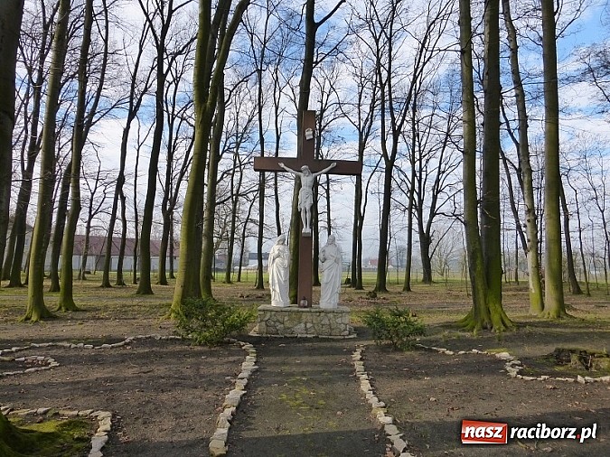 Zdjęcie w galerii na portalu naszraciborz.pl: Franciszka Jamicki – Sercem dla Boga, ręką dla ludzi- część trzecia  wiadomości z regionu