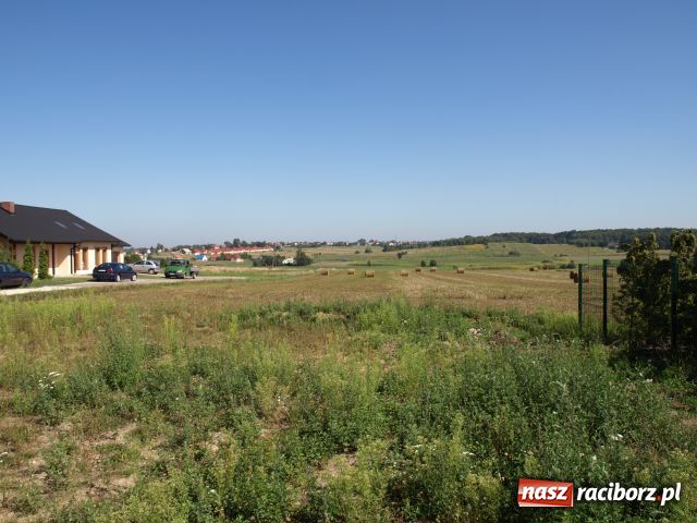 Zdjęcie w galerii na portalu naszraciborz.pl: Dwie działki budowlane Racibórz-Markowice wiadomości z regionu