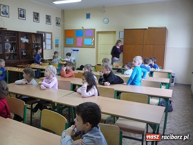 Zdjęcie w galerii na portalu naszraciborz.pl: Turniej szachowy dla przedszkolaków wiadomości z regionu