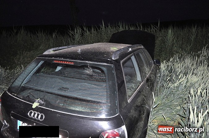 Zdjęcie w galerii na portalu naszraciborz.pl: Audi wylądowało w zbożu na drodze Pawłów-Maków wiadomości z regionu