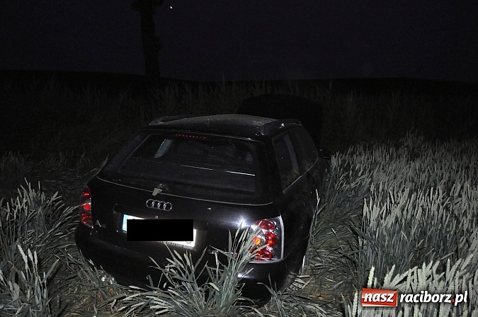 Zdjęcie w galerii na portalu naszraciborz.pl: Audi wylądowało w zbożu na drodze Pawłów-Maków wiadomości z regionu
