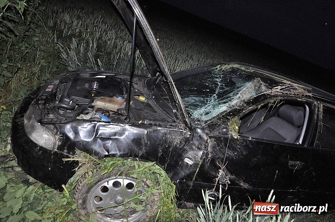 Zdjęcie w galerii na portalu naszraciborz.pl: Audi wylądowało w zbożu na drodze Pawłów-Maków wiadomości z regionu