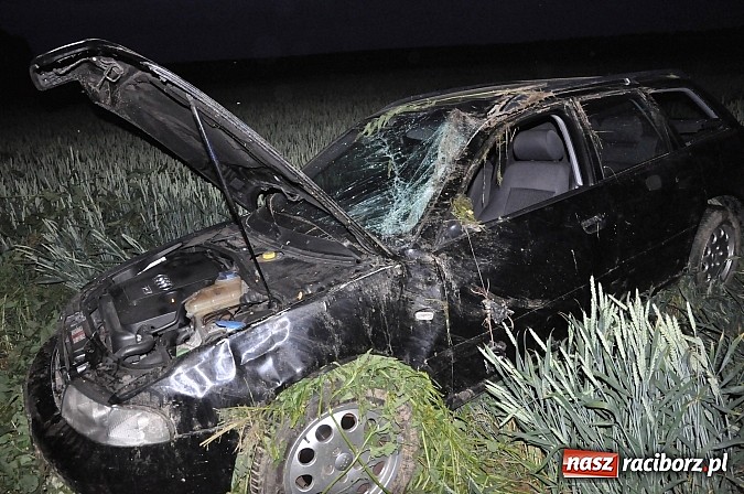 Zdjęcie w galerii na portalu naszraciborz.pl: Audi wylądowało w zbożu na drodze Pawłów-Maków wiadomości z regionu