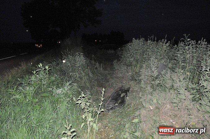 Zdjęcie w galerii na portalu naszraciborz.pl: Audi wylądowało w zbożu na drodze Pawłów-Maków wiadomości z regionu