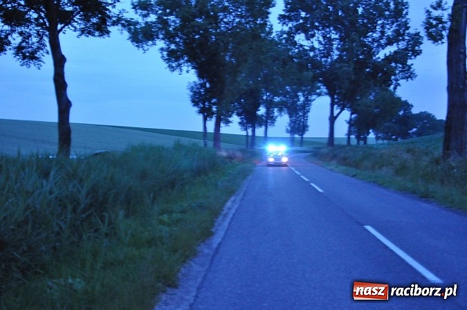 Zdjęcie w galerii na portalu naszraciborz.pl: Audi wylądowało w zbożu na drodze Pawłów-Maków wiadomości z regionu