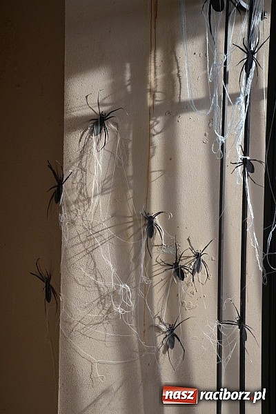 Zdjęcie w galerii na portalu naszraciborz.pl: Powitanie wakacji na zamku, czyli IV Zamkowa Noc z Duchami  wiadomości z regionu