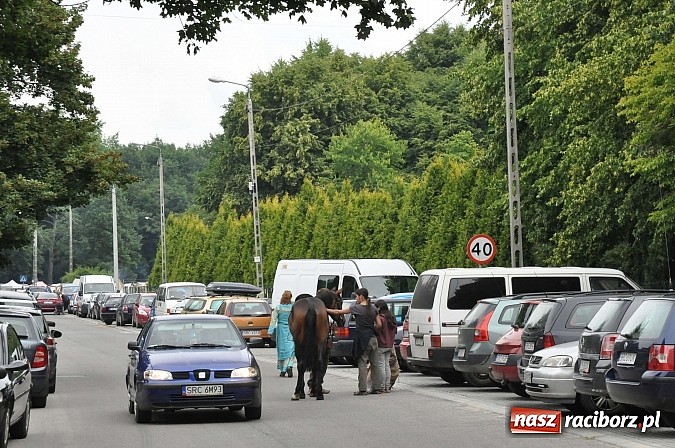 Zdjęcie w galerii na portalu naszraciborz.pl: Manewry wojów w lesie Obora. Stoczono kilka potyczek. Bez przelewek wiadomości z regionu