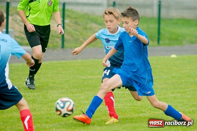 Zdjęcie w galerii na portalu naszraciborz.pl: Tworków Cup 2015: Wiele emocji i bramek w Tworkowie. MKS Żory z pucharem Wójta wiadomości z regionu
