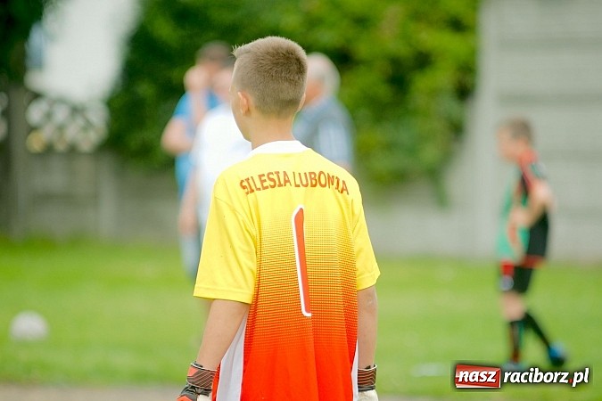 Zdjęcie w galerii na portalu naszraciborz.pl: Tworków Cup 2015: Wiele emocji i bramek w Tworkowie. MKS Żory z pucharem Wójta wiadomości z regionu