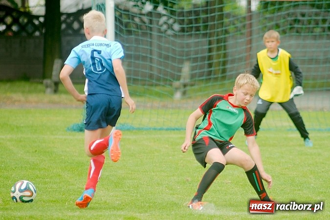 Zdjęcie w galerii na portalu naszraciborz.pl: Tworków Cup 2015: Wiele emocji i bramek w Tworkowie. MKS Żory z pucharem Wójta wiadomości z regionu